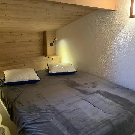 Cx116 - Duplex 6 Pers Pied De Pistes 公寓 雷加霍斯达哈施